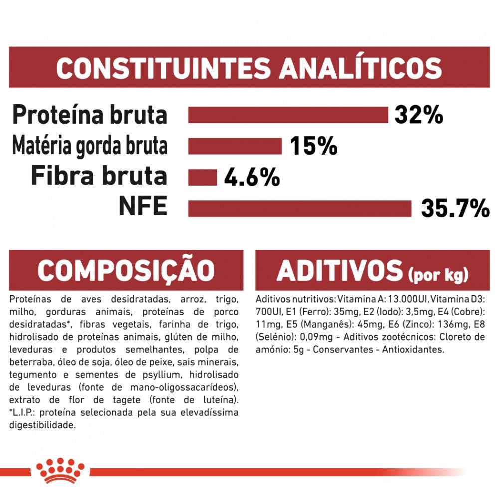 Royal Canin Regular Fit 32 Adult - Ração seca para gato