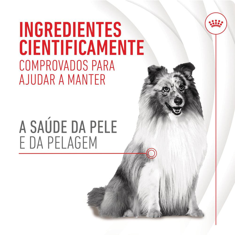 Royal Canin Skin & Coat Chews - Supplement for dogs with sensitive skin 240g