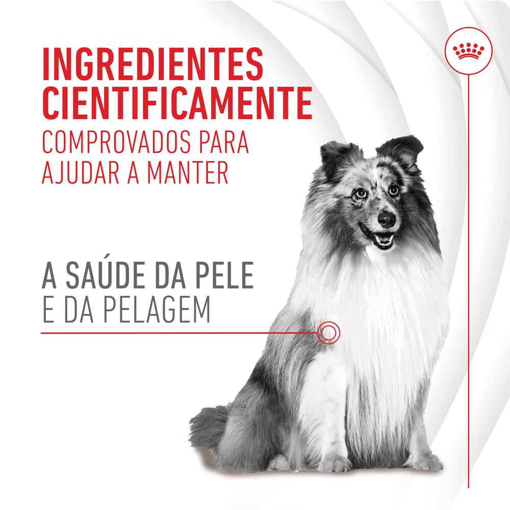 Royal Canin Skin & Coat Chews - Supplement for dogs with sensitive skin 240g