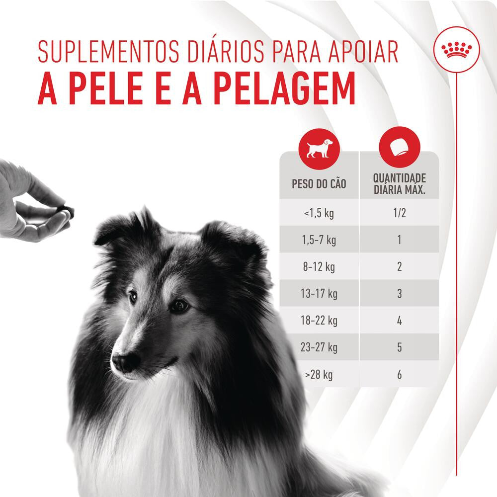 Royal Canin Skin & Coat Chews - Supplement for dogs with sensitive skin 240g