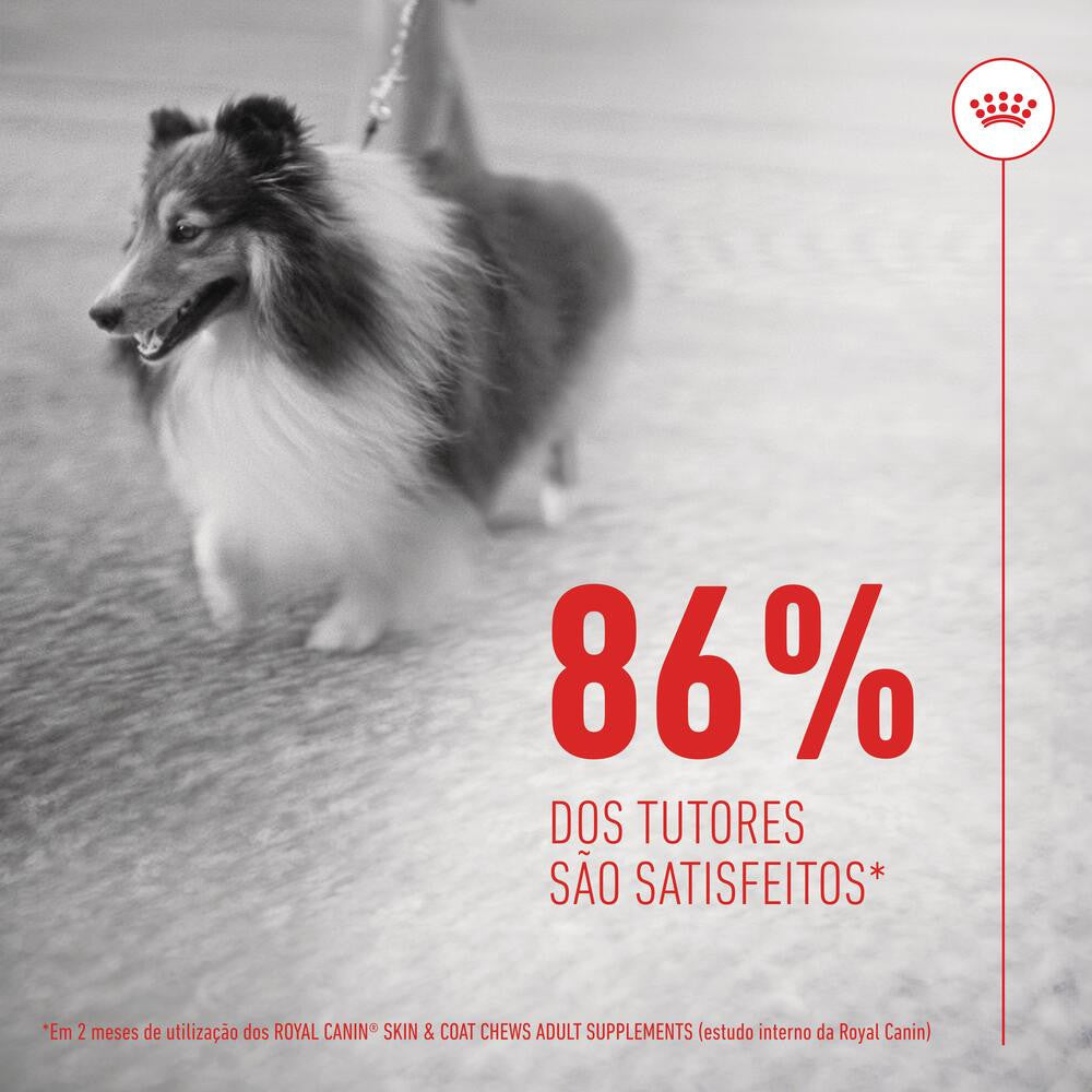 Royal Canin Skin & Coat Chews - Supplement for dogs with sensitive skin 240g
