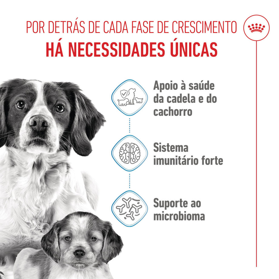 Royal Canin Dog Medium Starter Mother & Babydog | 15kg - Ração seca para cachorro recém-nascido e cadela gestante/lactante de porte médio
