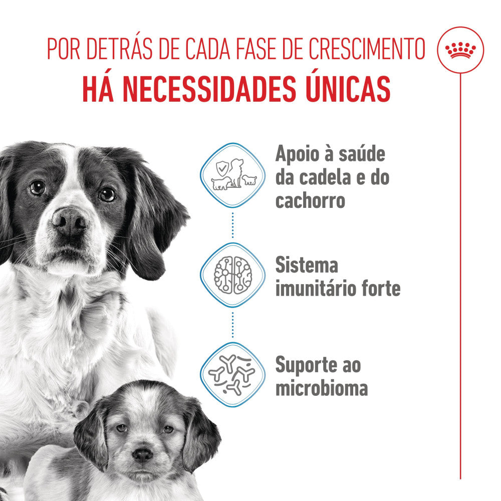 Royal Canin Dog Medium Starter Mother & Babydog | 15kg - Ração seca para cachorro recém-nascido e cadela gestante/lactante de porte médio