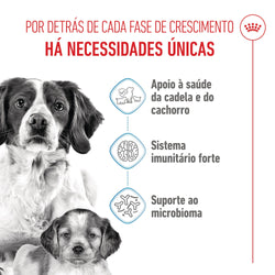 Royal Canin Dog Medium Starter Mother & Babydog | 15kg - Ração seca para cachorro recém-nascido e cadela gestante/lactante de porte médio