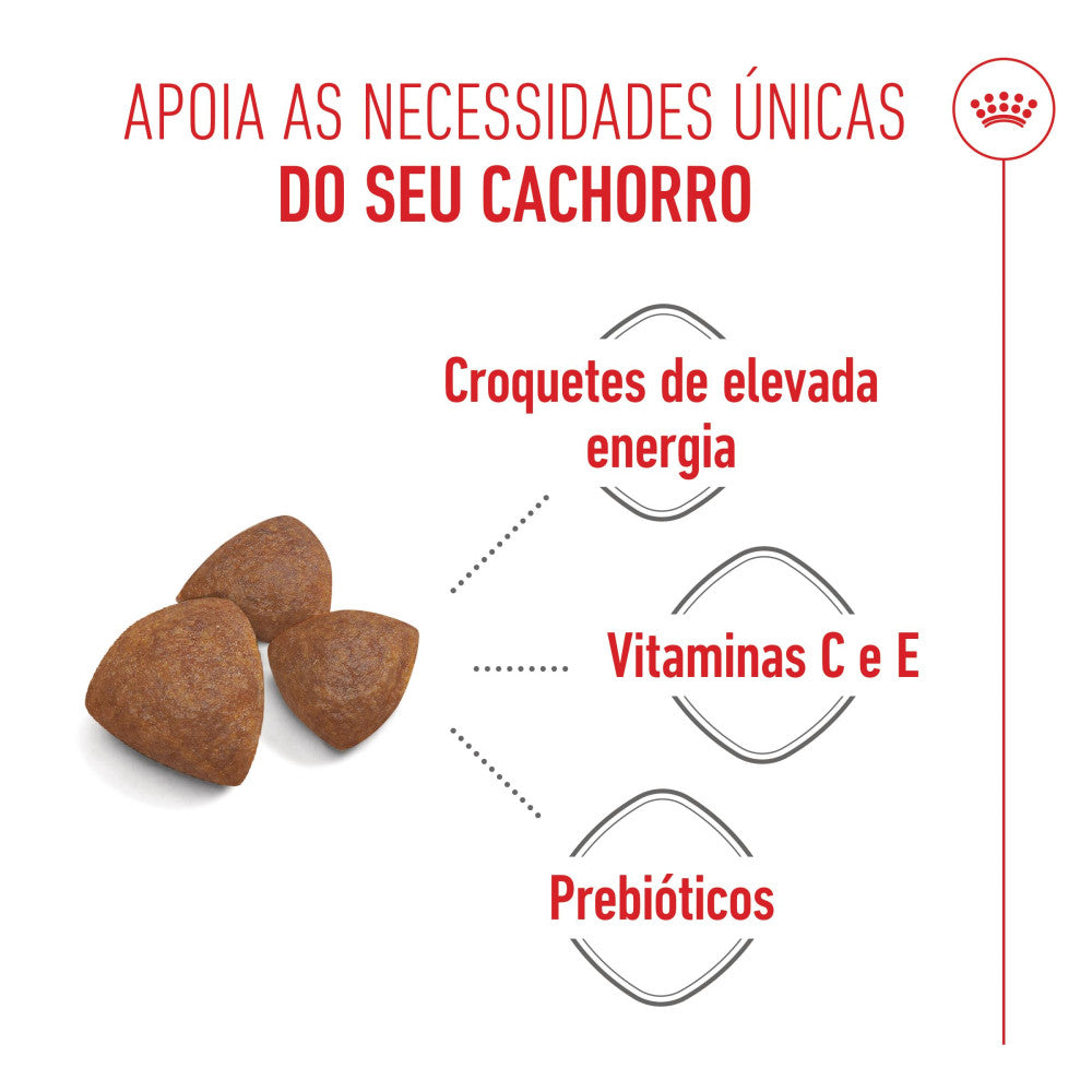 Royal Canin Dog Medium Starter Mother & Babydog | 15kg - Ração seca para cachorro recém-nascido e cadela gestante/lactante de porte médio