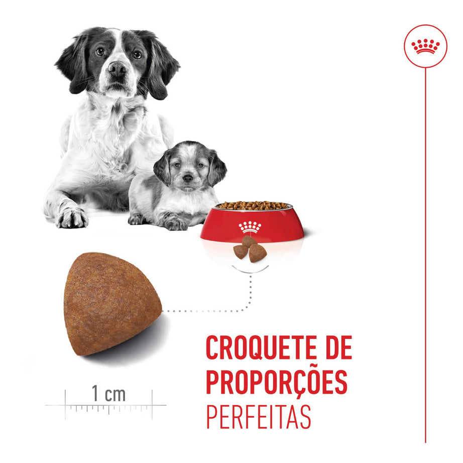 Royal Canin Dog Medium Starter Mother & Babydog | 15kg - Ração seca para cachorro recém-nascido e cadela gestante/lactante de porte médio