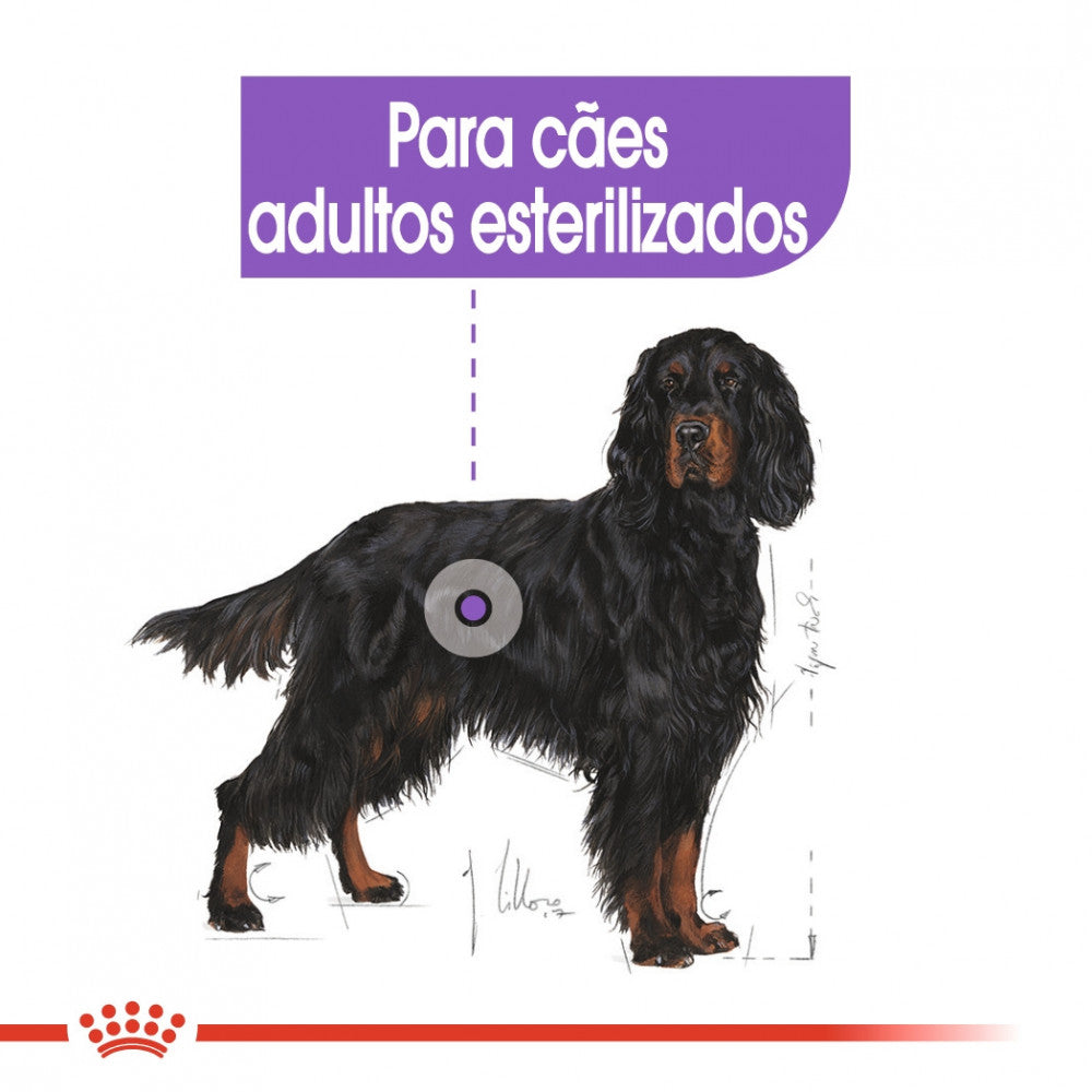 Royal Canin Maxi Sterilised Adult Dog