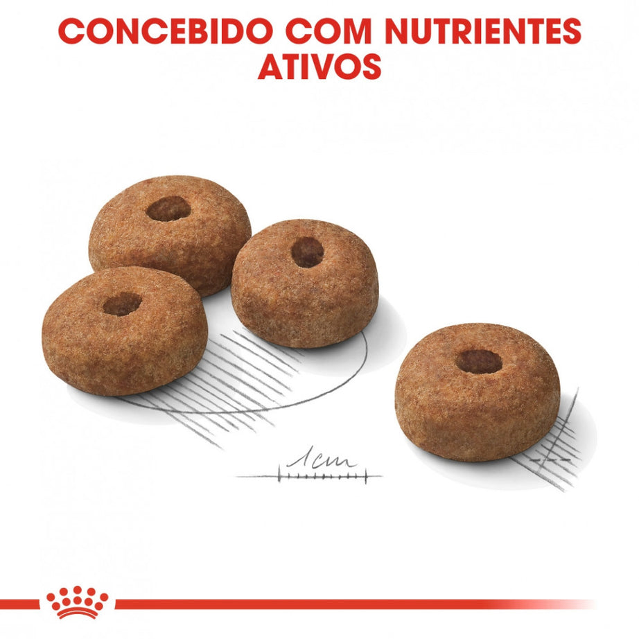 Royal Canin Maxi Sterilised Adult Dog