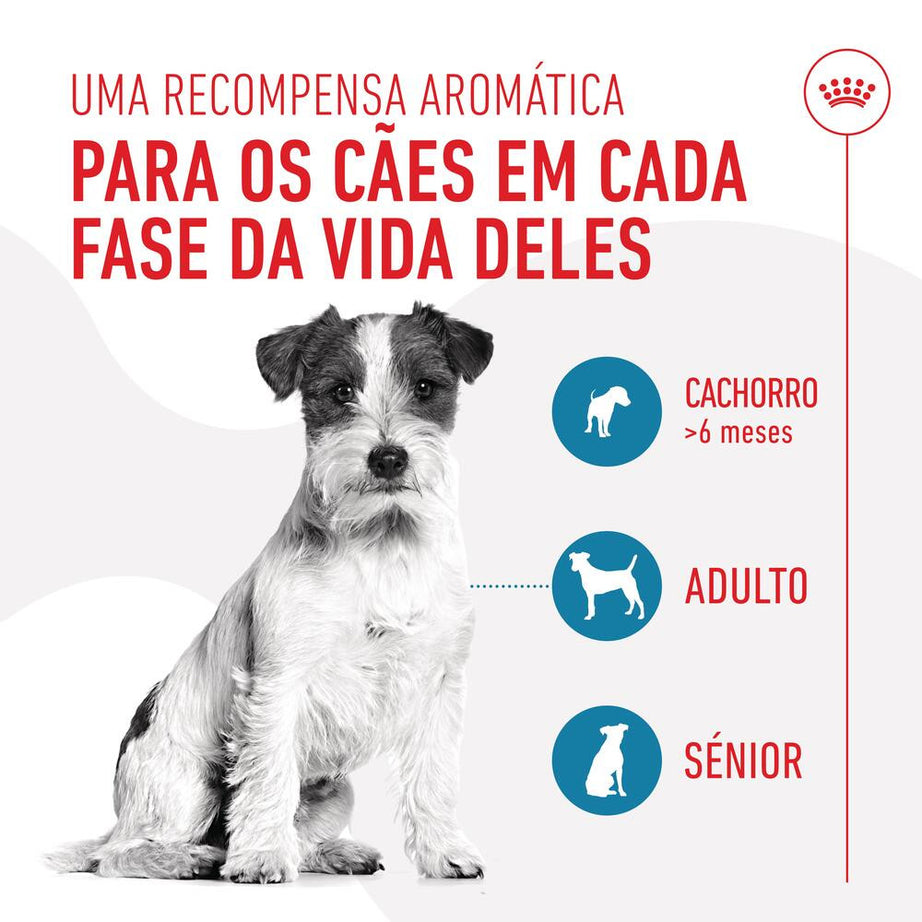 Royal Canin Training Treats - Snacks para cão e cachorro 110g