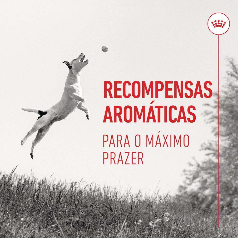 Royal Canin Training Treats - Snacks para cão e cachorro 110g