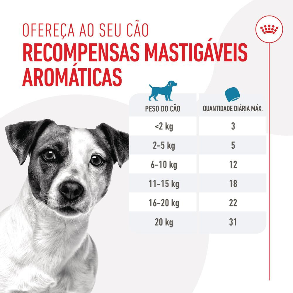 Royal Canin Training Treats - Snacks para cão e cachorro 110g