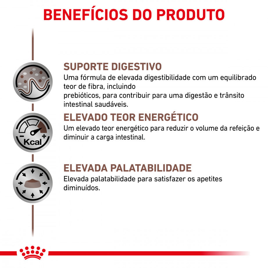 Royal Canin VET Gastrointestinal - Pâté food for adult dogs with digestive problems
