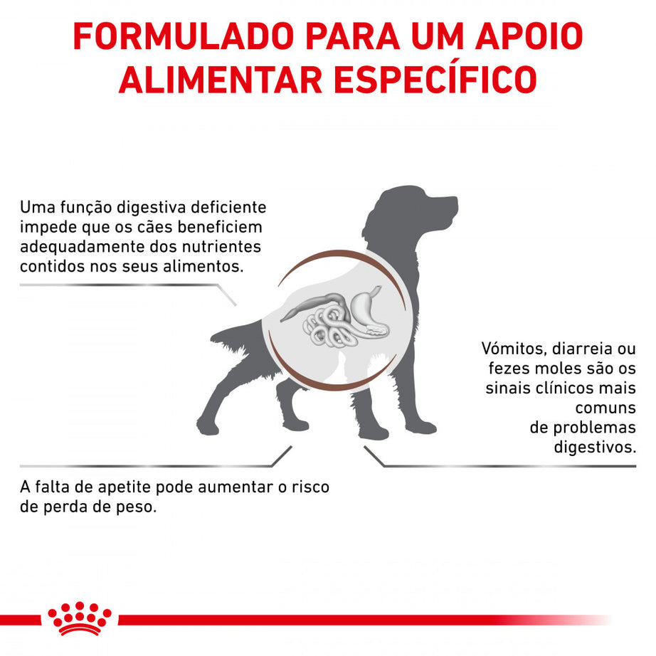 Royal Canin VET Gastrointestinal - Pâté food for adult dogs with digestive problems
