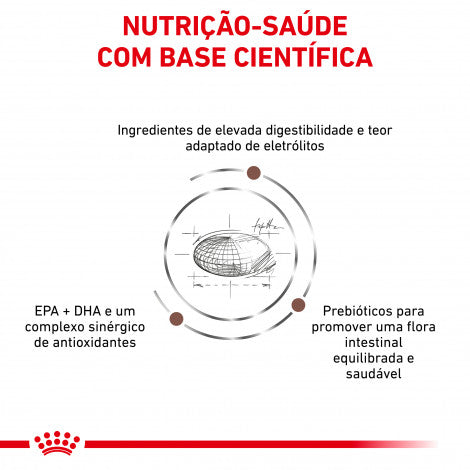 Royal Canin VET Gastrointestinal - Pâté food for adult dogs with digestive problems