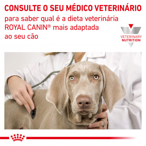 Royal Canin VET Gastrointestinal - Pâté food for adult dogs with digestive problems