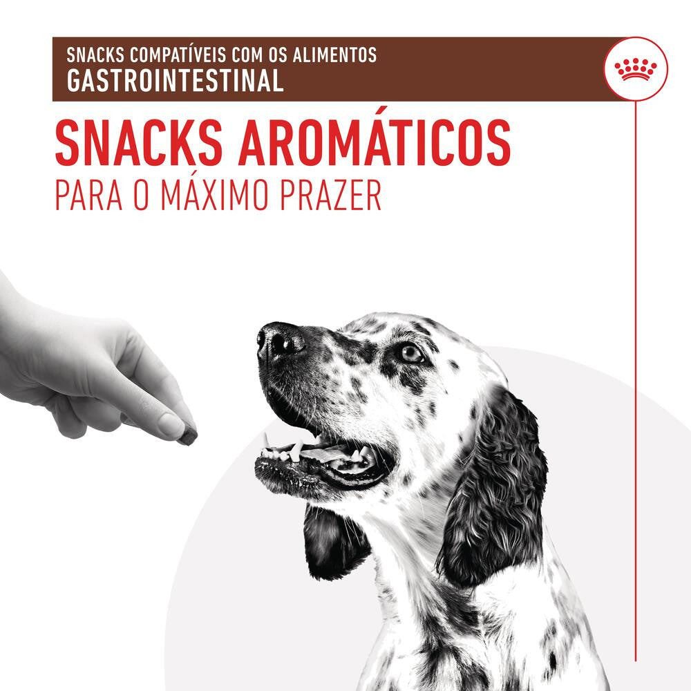 Royal Canin VET Treats Gastrointestinal - Snacks para cão com problemas digestivos 230g