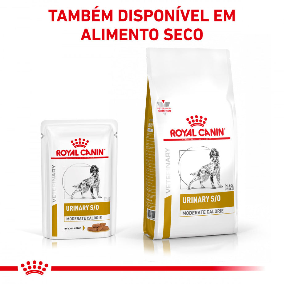Royal Canin Vet Urinary S/O Moderate Calorie Canine | Wet (Pouch) | 12 x 100 g