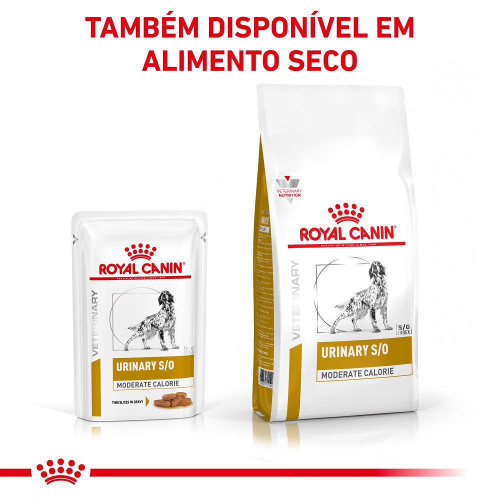 Royal Canin Vet Urinary S/O Moderate Calorie Canine | Wet (Pouch) | 12 x 100 g