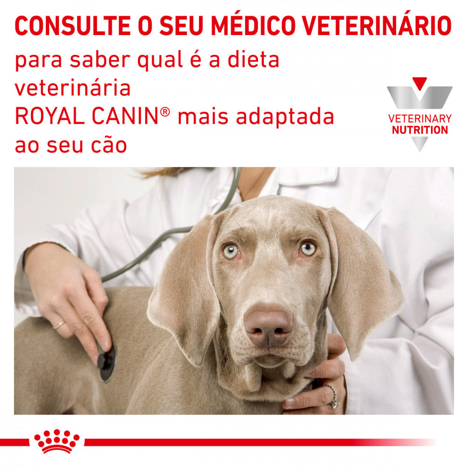 Royal Canin Vet Urinary S/O Moderate Calorie Canine | Wet (Pouch) | 12 x 100 g