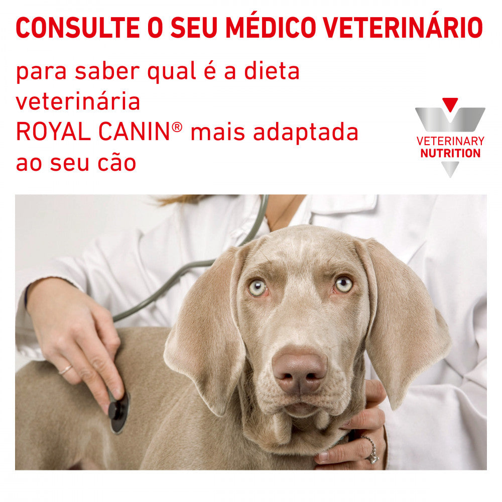 Royal Canin Vet Urinary S/O Moderate Calorie Canine - Ração seca para cão adulto com problemas urinários (com menos calorias)