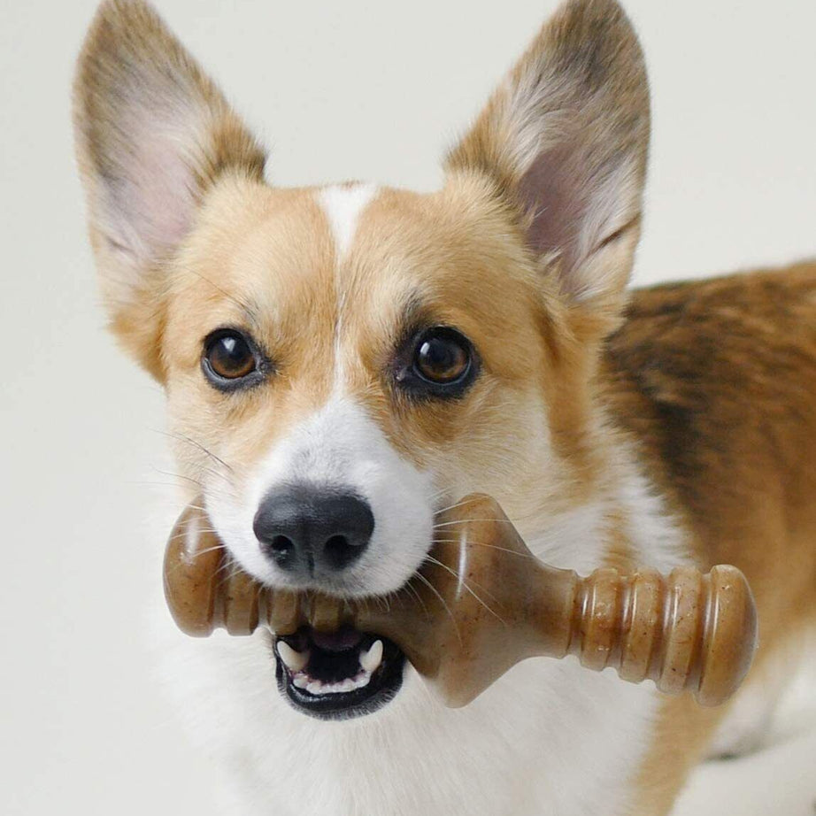 BENEBONE ZAGGLER BACON
