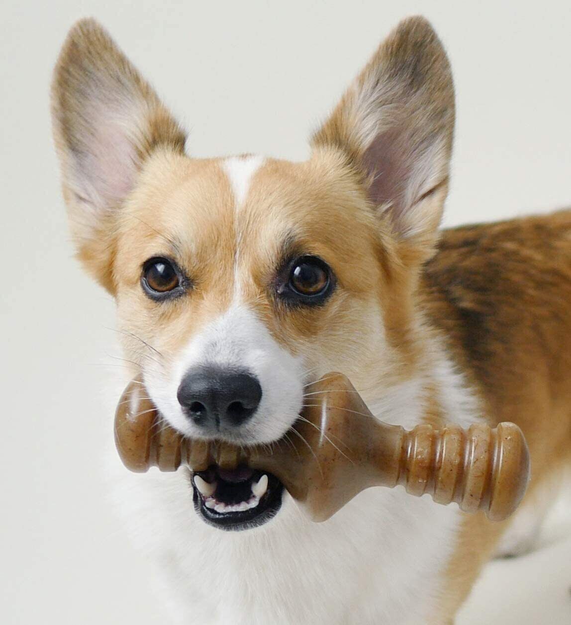 BENEBONE ZAGGLER BACON
