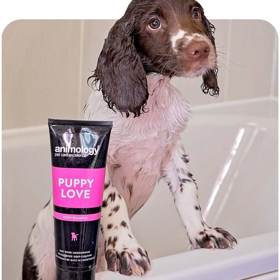 Animology Puppy Love Shampoo 250ml