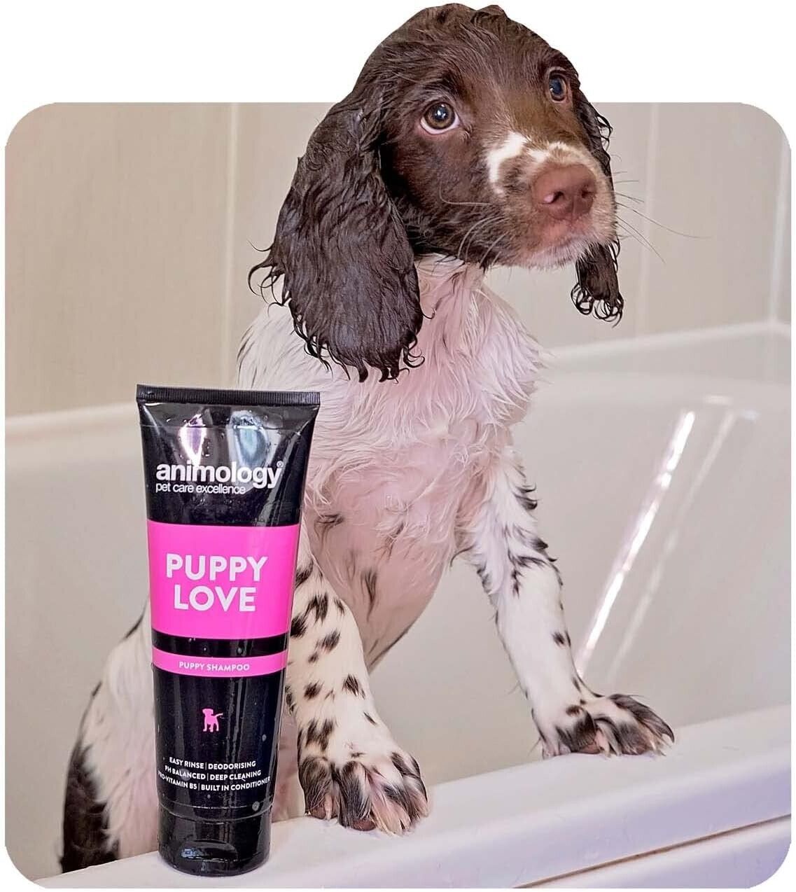 Animology Puppy Love Shampoo 250ml
