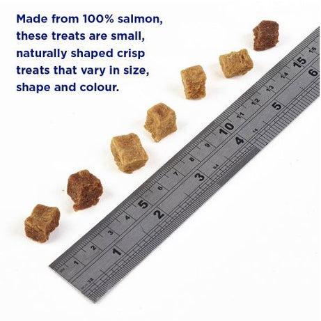 Fish4dogs Snacks Training Adulto Salmão Bites 80g