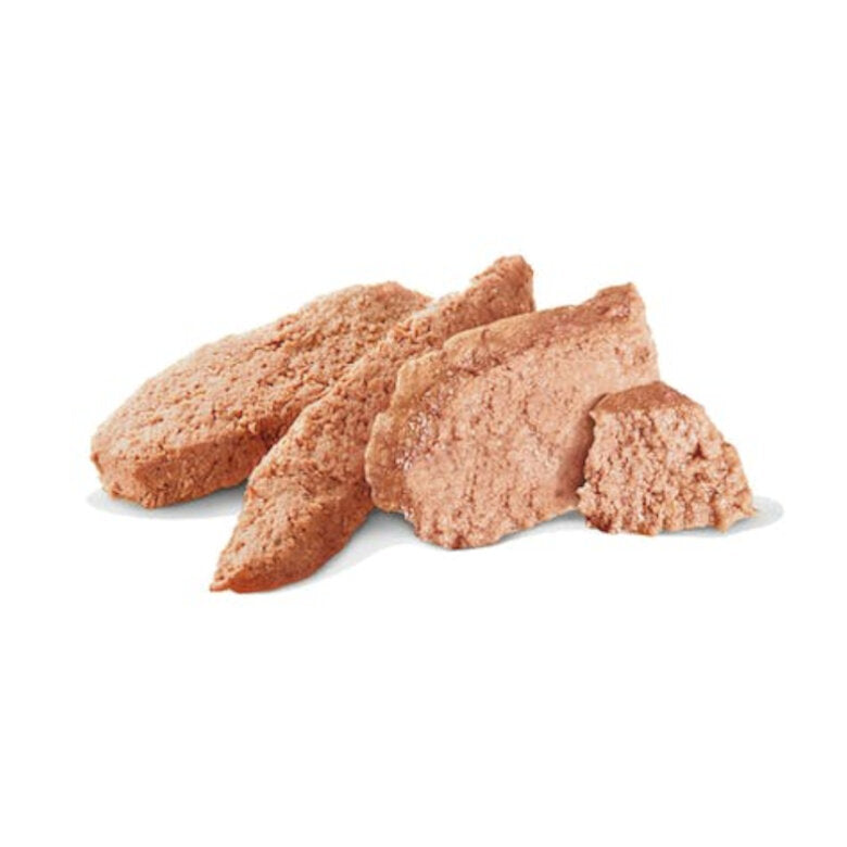 Royal Canin® Veterinary Sensitivity Control Pato e Arroz – Alimento Húmido para Cães Adultos