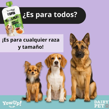 Lactose-Free Natural Yoghurt for Dogs - 3x115 gr.