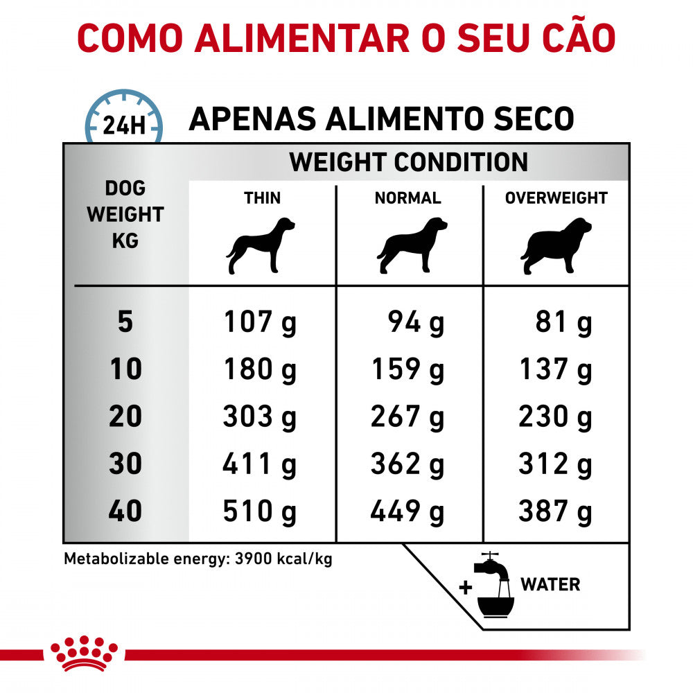 Royal Canin® Veterinary Skin care – Ração para Cão Adulto