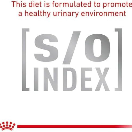 Royal Canin® Veterinary Skin & Coat – Alimento Húmido para Gatos Adultos com Sensibilidade Cutânea