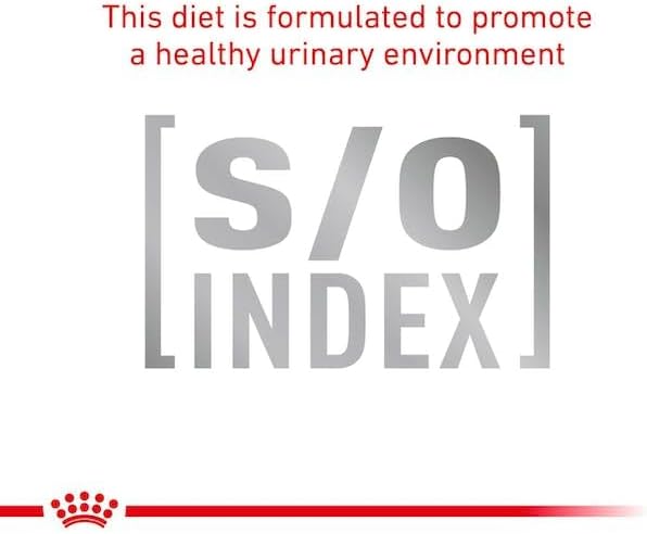 Royal Canin® Veterinary Skin & Coat – Alimento Húmido para Gatos Adultos com Sensibilidade Cutânea