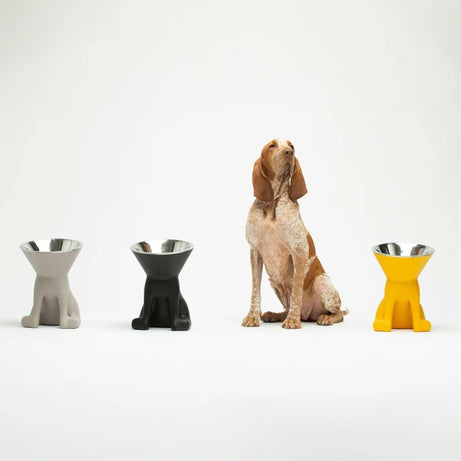 Comedouro para cao United Pets Up Elisabeth Preto