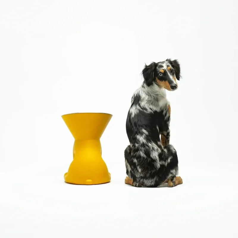 Comedouro para cao United Pets Up Elisabeth Preto