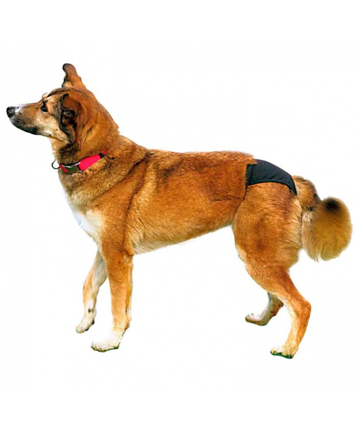 Slips Higiénicos para cães - Trixie