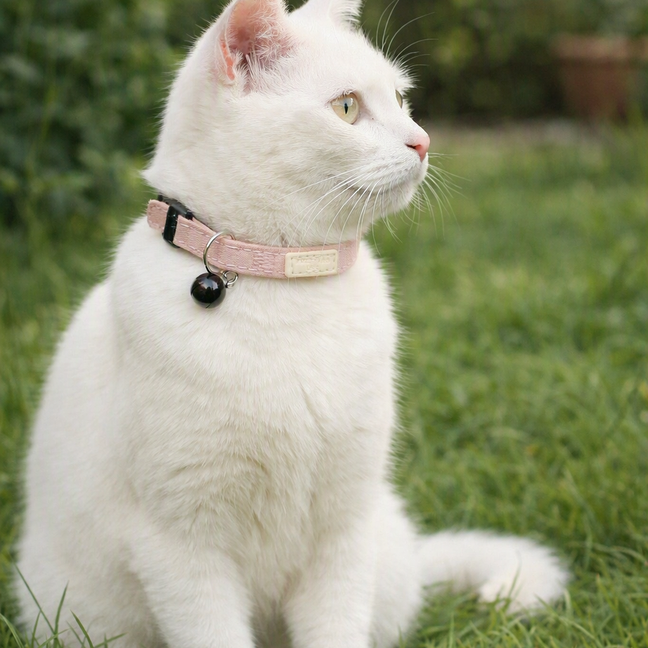 FuzzYard LIFE Cotton Collar - French Blue