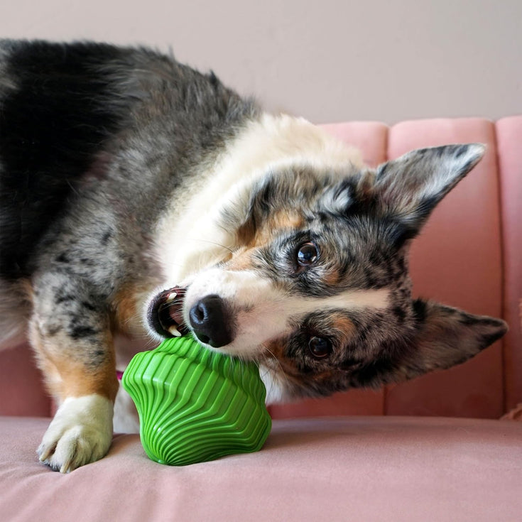 KONG Squeezz Orbitz - Brinquedo para cão