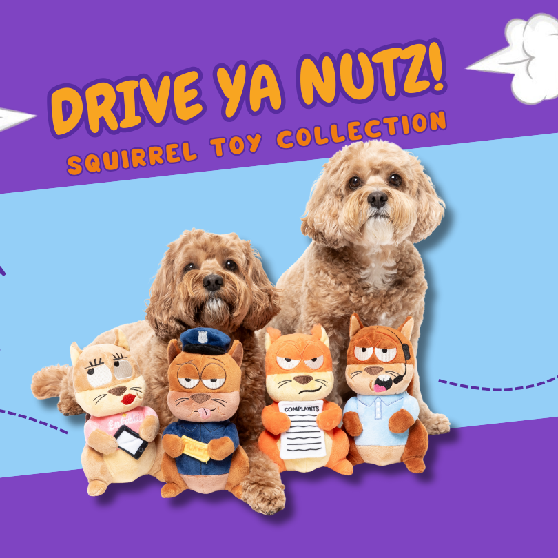 FuzzYard Peluche para Cão – Squirrels – #Ashleigh #Curbside Carl #Karen #Telemarketer Tom