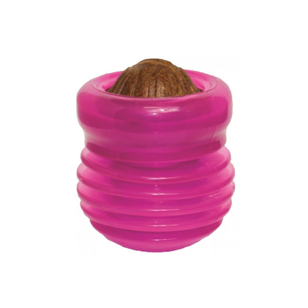 STARMARK ® - Everlasting Treat Groovy Ball