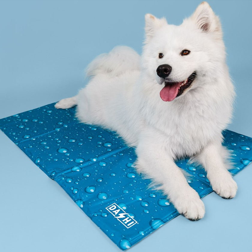 Tapete Refrescante para Cães e Gatos - Pet Cooling Mat