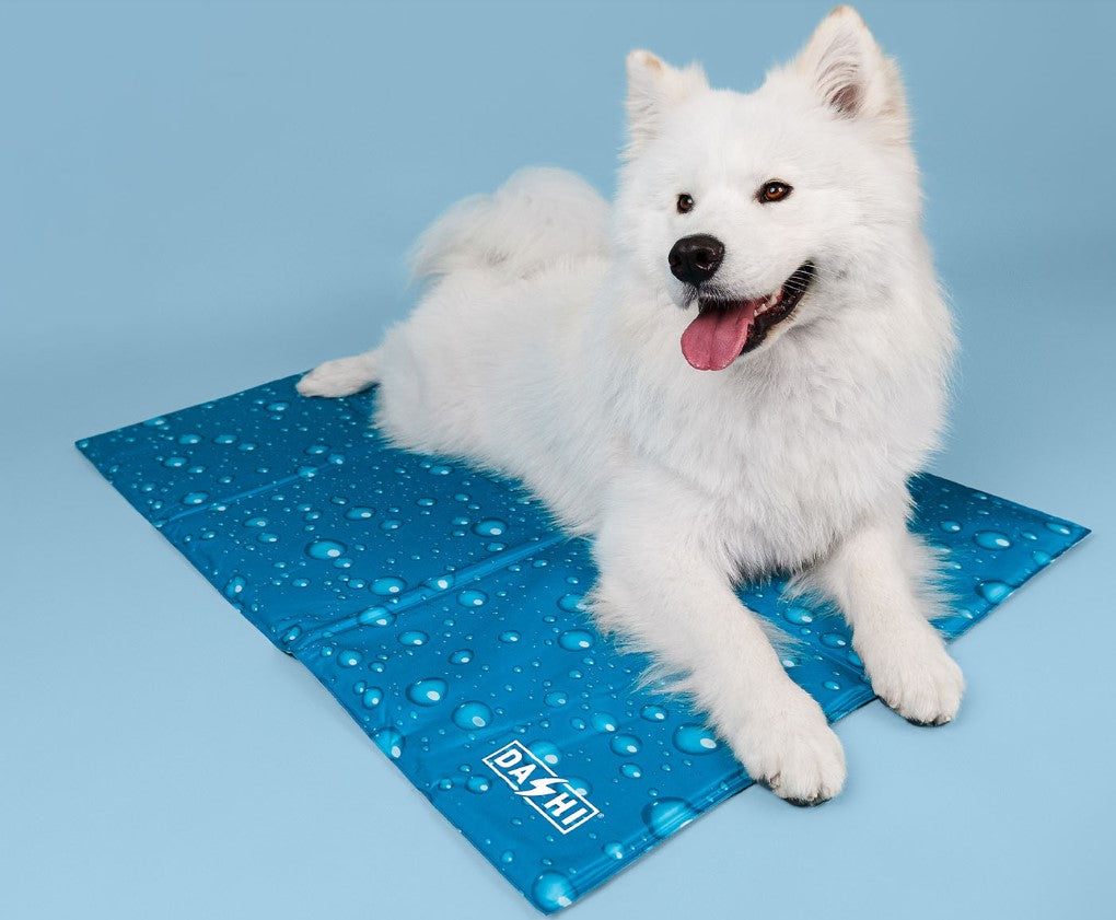 Tapete Refrescante para Cães e Gatos - Pet Cooling Mat