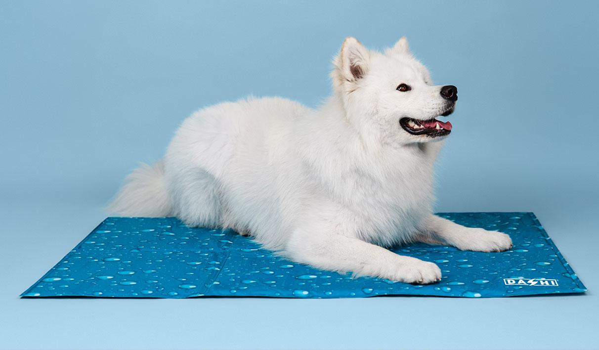 Tapete Refrescante para Cães e Gatos - Pet Cooling Mat