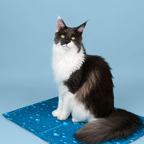 Tapete Refrescante para Cães e Gatos - Pet Cooling Mat