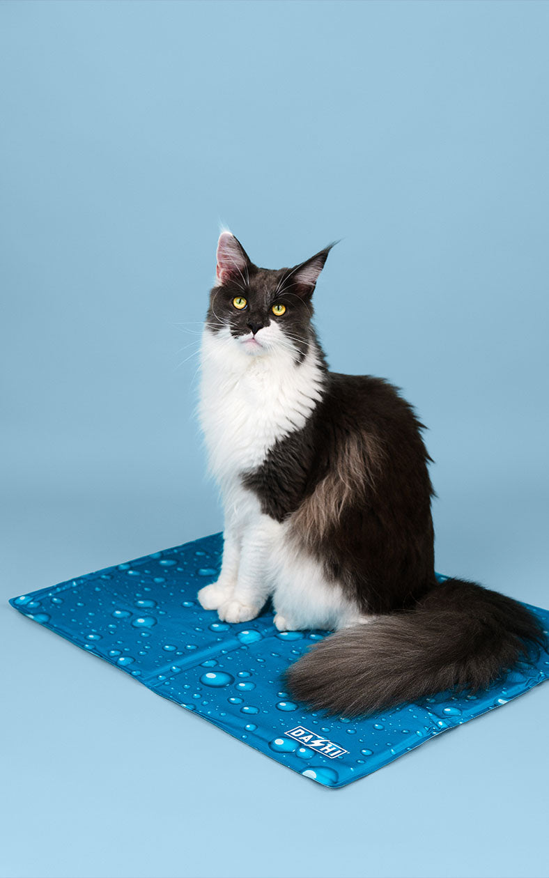 Tapete Refrescante para Cães e Gatos - Pet Cooling Mat