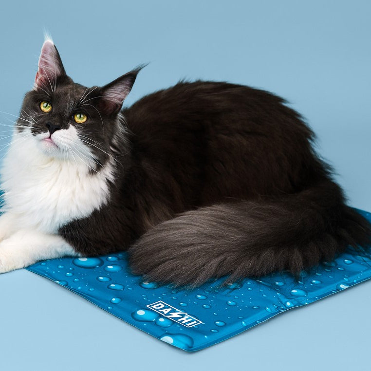 Tapete Refrescante para Cães e Gatos - Pet Cooling Mat