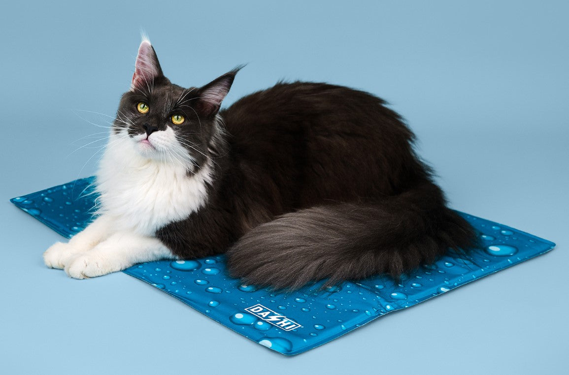 Tapete Refrescante para Cães e Gatos - Pet Cooling Mat