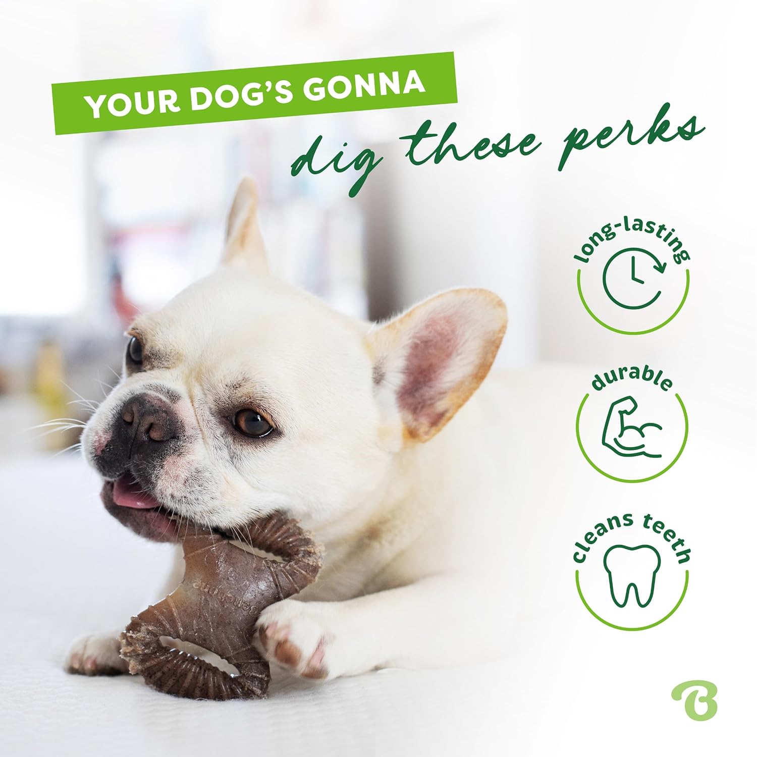 Benebone Tiny Pack de 2 – Brinquedos de Mastigação para Cães | Sabor Bacon