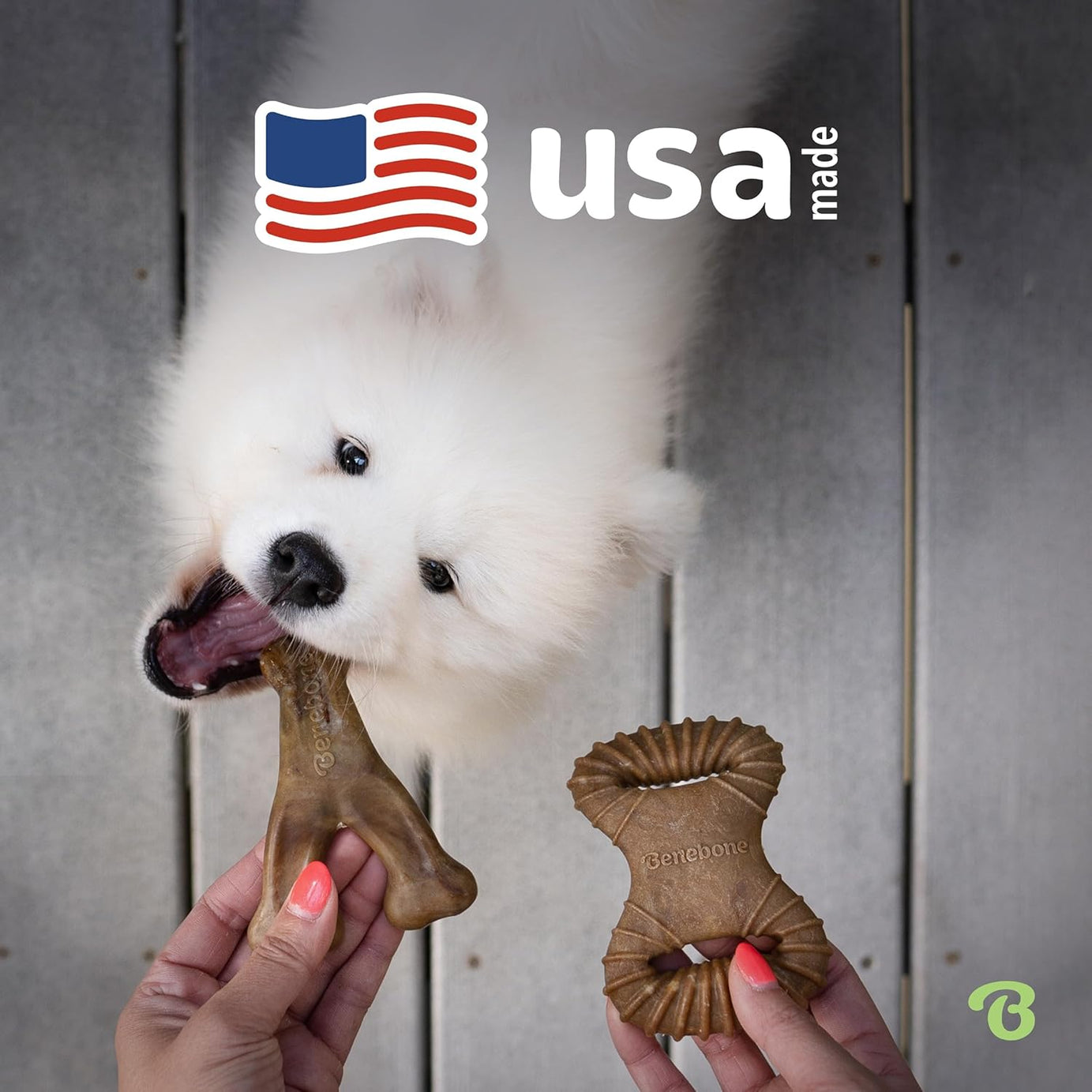 Benebone Tiny Pack de 2 – Brinquedos de Mastigação para Cães | Sabor Bacon
